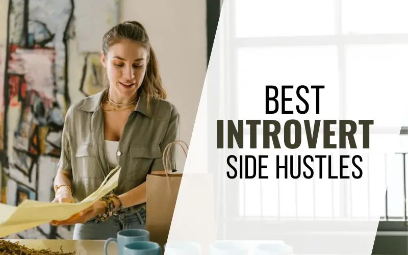 Best Introvert Side Hustles